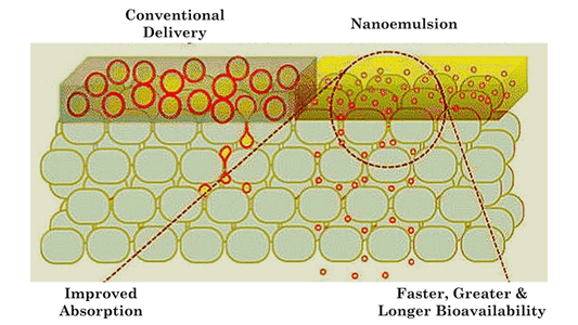 Cannabinoid Science - CBG Science & Nanoemulsion - Nano Bella