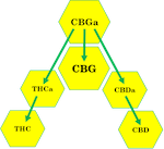 CBG for Greening Out