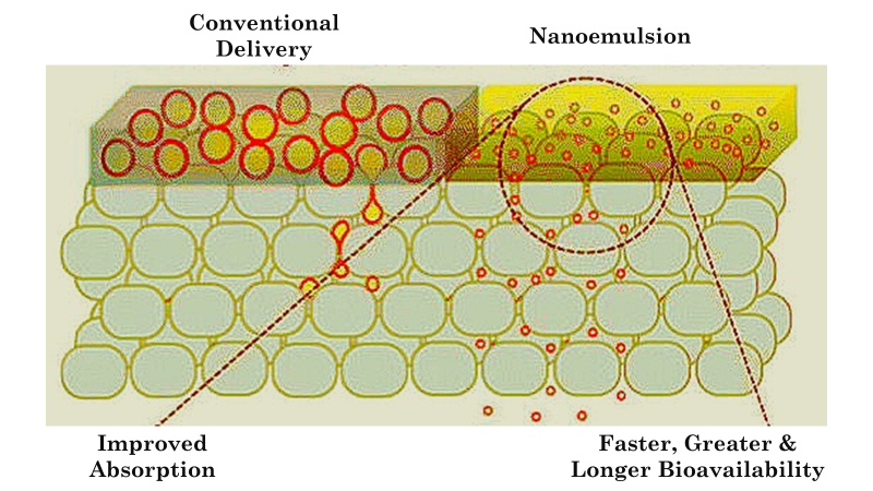 visualization of nanoemulsion emulsion particle size bioavailability cannabinoids